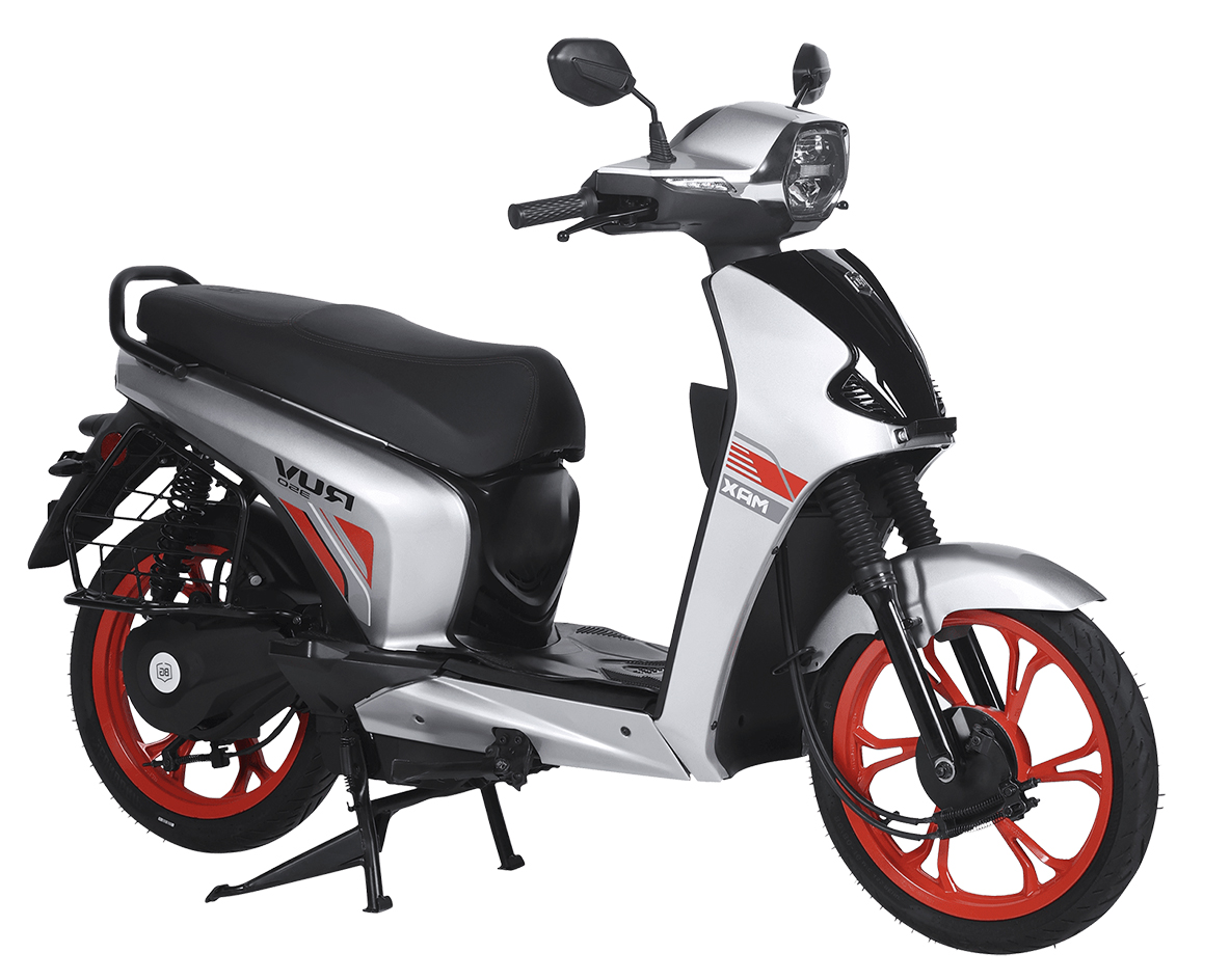 best-ev-scooty-silver